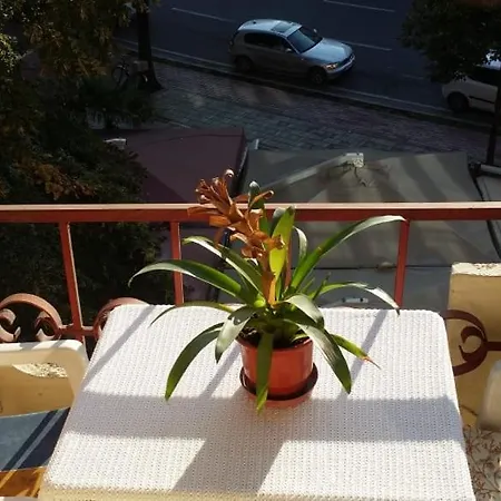 Beautiful Apartament *